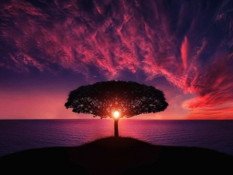 paysage05_resultat