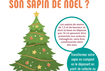 Collecte de votre sapin de Noël
