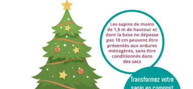 Collecte de votre sapin de Noël