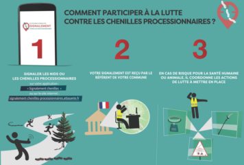 Flyer_signalement-chenilles-processionnaires-1024×717
