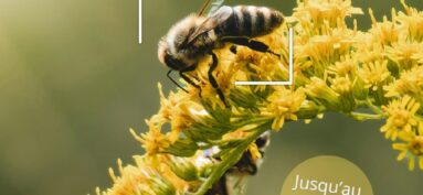 Concours Photo: « La Biodiversité de Chalifert » !